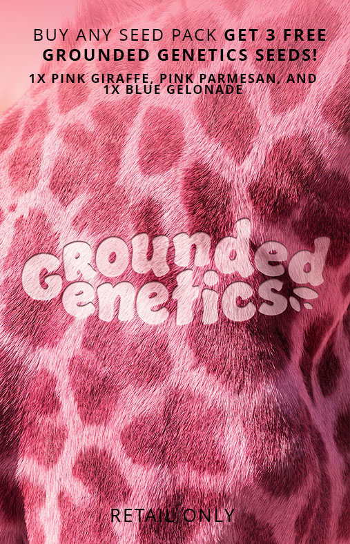 Free Grounded Seeds