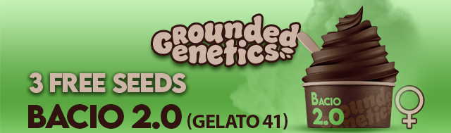 Grounded Genetics