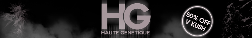 Receive 50% OFF Haute Genetique Seeds For FREE