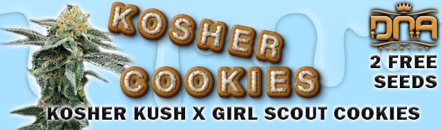Free Kosher Cookies