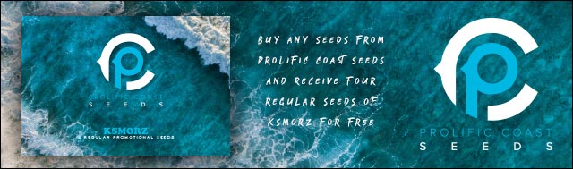 Buy any Seeds from Prolific Coast Seeds and Receive 4 Free Regular Seeds of KSMORZ (Gorilla Glue #4 x Animal Cookies S1)