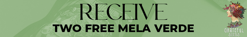 Receive 2x Mela Verde Fems For FREE