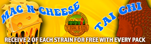 Free Southern Kunt