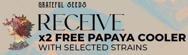Buy selected packs by Grateful Seeds and receive 2 Papaya Cooler seeds for FREE