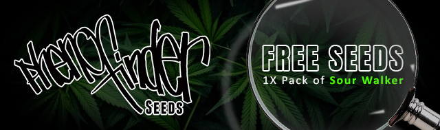 All Pheno Finders packs will get 1x full pack of Sour Walker 