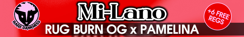Receive 6 FREE Mi-Lano Regs With Every Regular Pack By Rare Dankness!