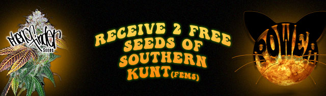 Free Southern Kunt