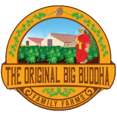 Original Big Buddha Family Farms Wholesale