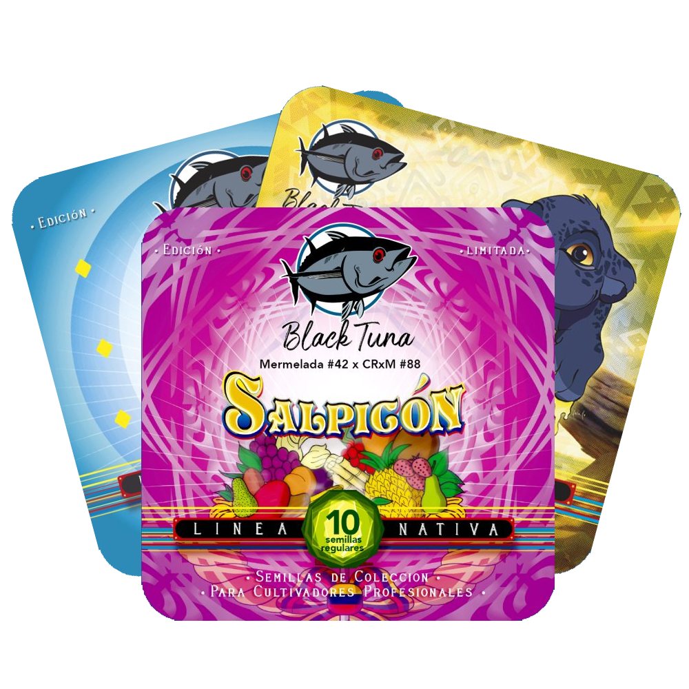 Black Tuna Seeds Regular