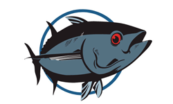 Black Tuna Seeds Wholesale