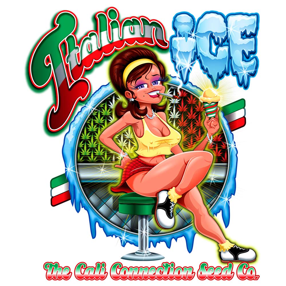 Delizie al Limone Feminized Cannabis Seeds by The Cali Connection Wholesale