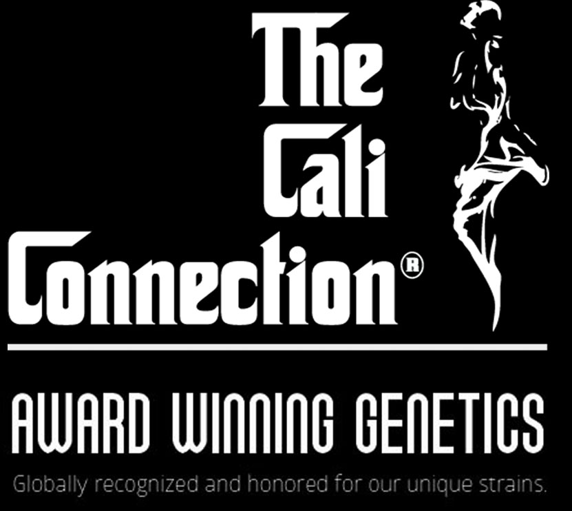 The Cali Connection Seeds