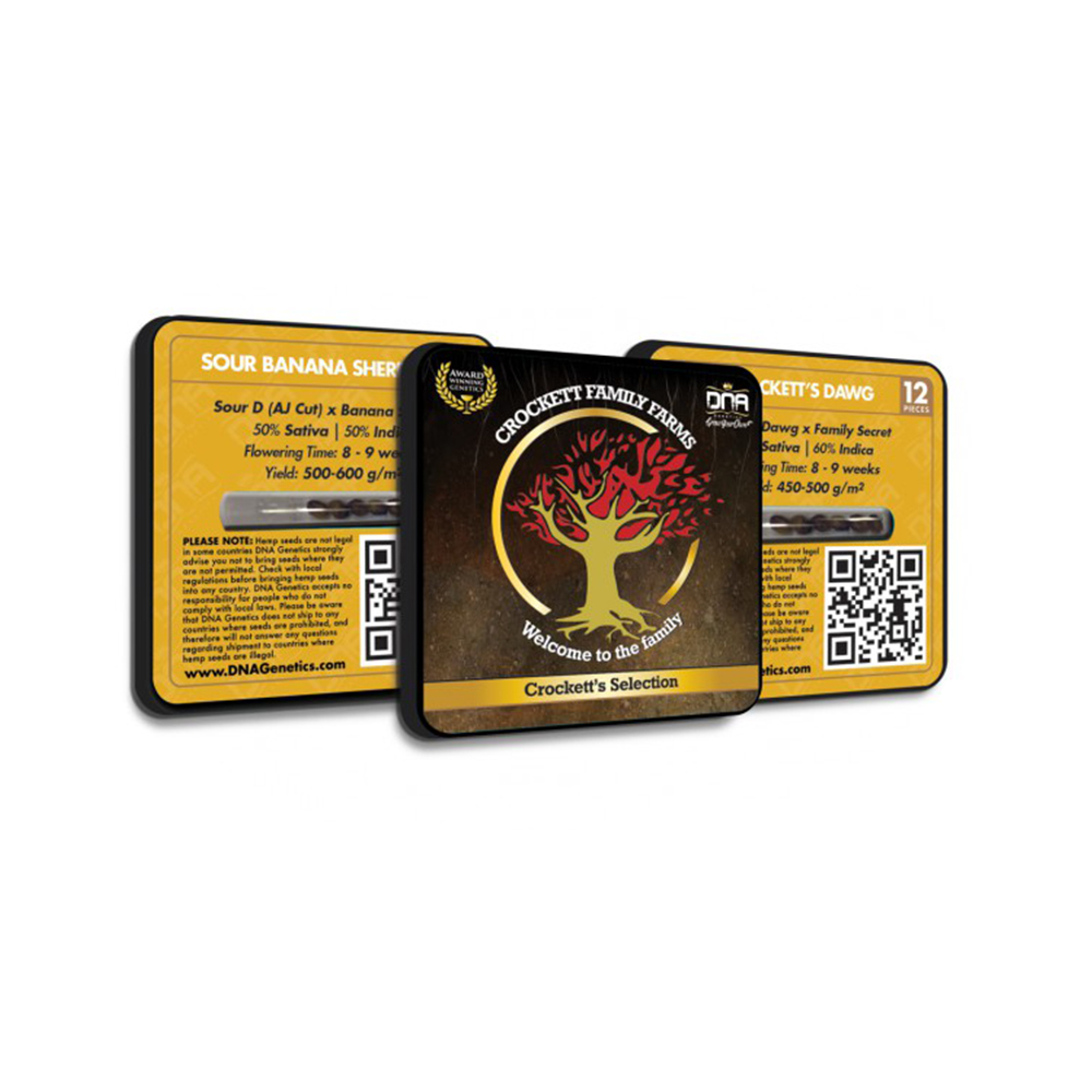 Crockett's Confidential Regular Cannabis Seeds by Crockett Family Farms Wholesale
