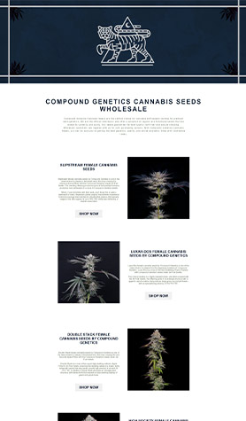 Compound Genetics Cannabis Seeds Wholesale