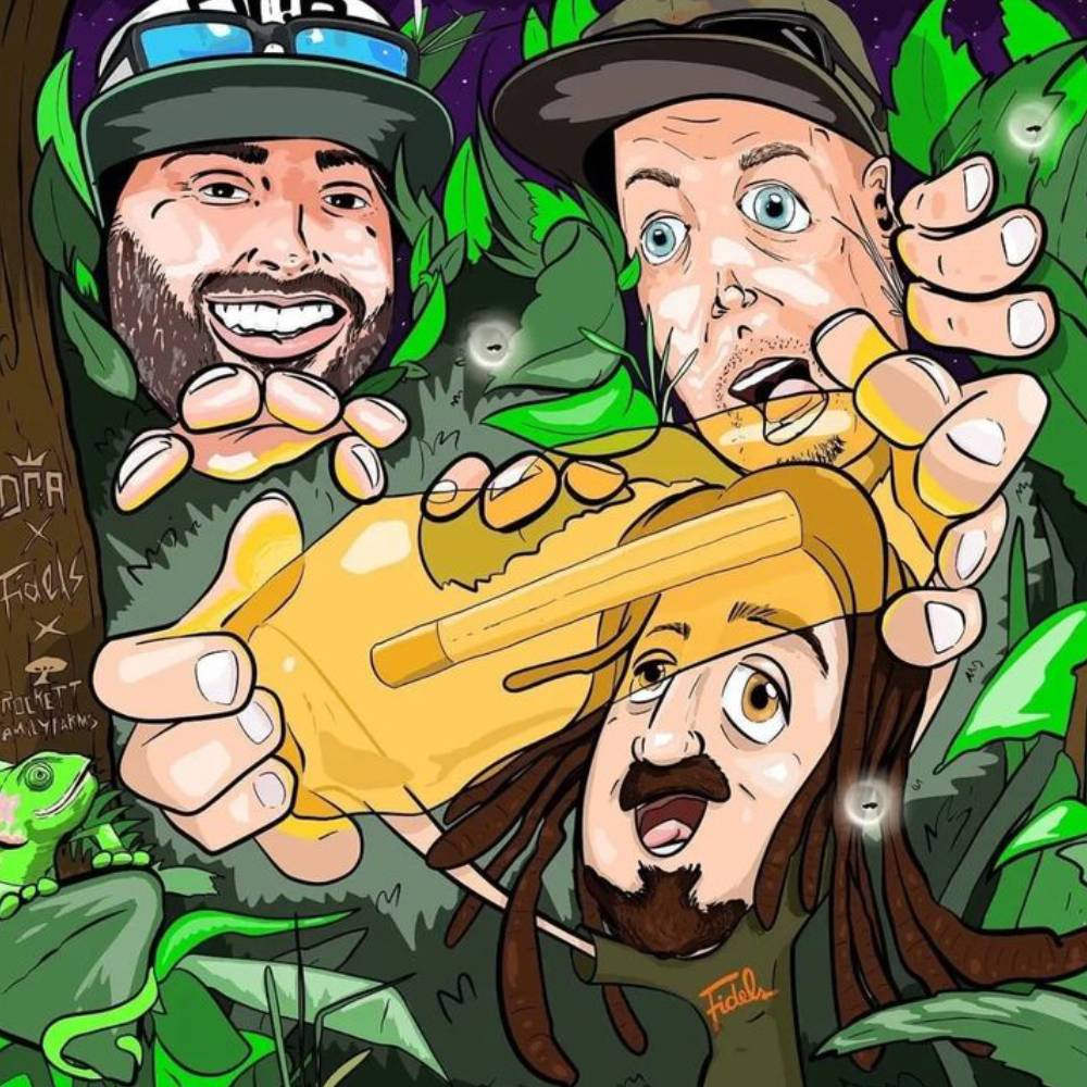 DNA Genetics Seeds Wholesale