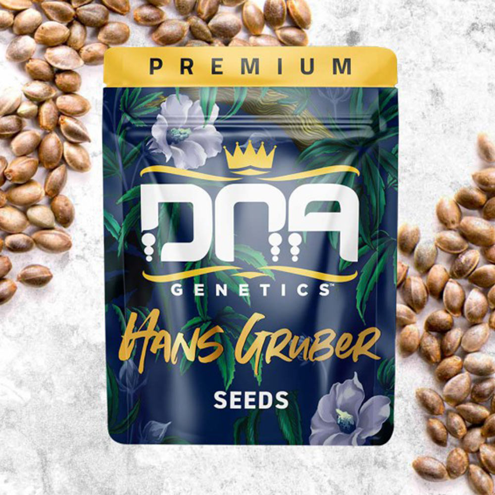 Hans Gruber Feminized Cannabis Seeds DNA Genetics Wholesale