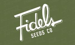 Fidels Seed Co Wholesale