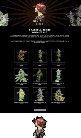 Grateful Seeds Wholesale