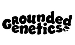 Grounded Genetics Cannabis Seeds Wholesale
