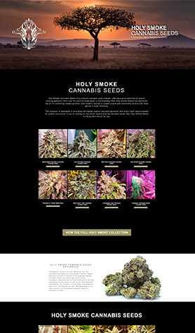 Holy Smoke Cannabis Seeds Wholesale