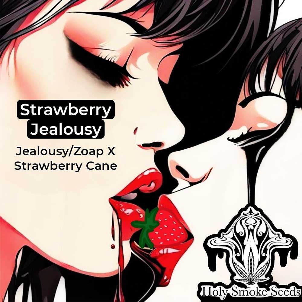 Strawberry Jealousy Feminized Cannabis Seeds by Holy Smoke Seeds