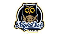 Night Owl Seeds Wholesale