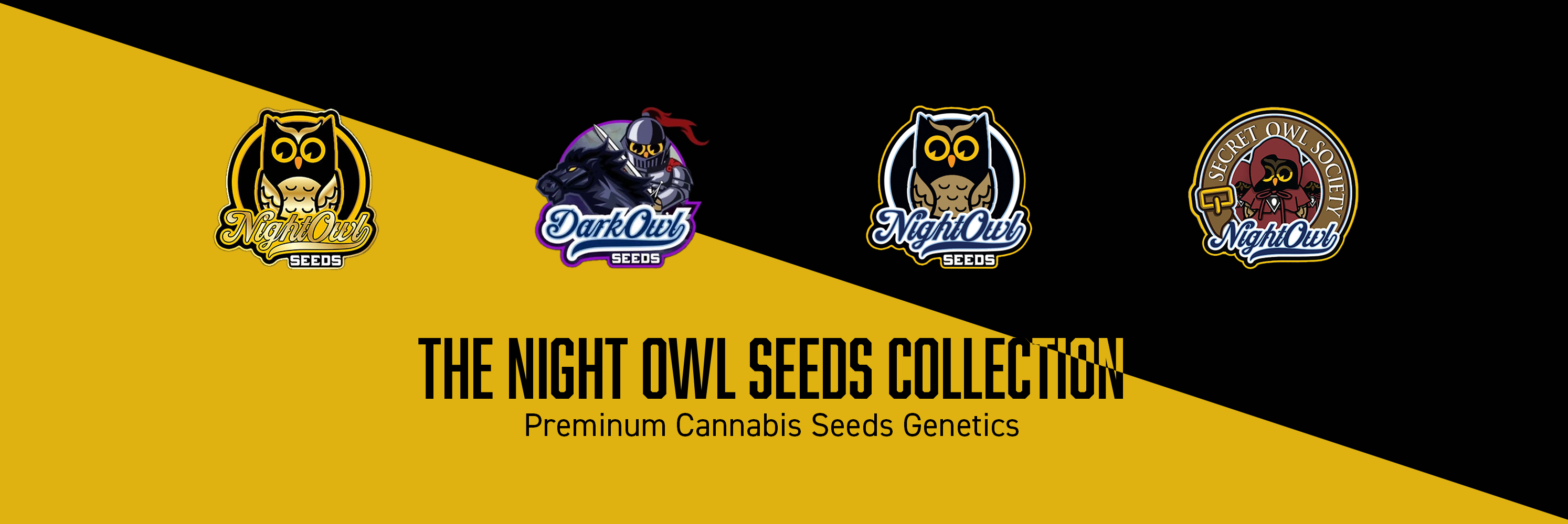 Night Owl Seeds