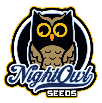 Night Owl Seeds Original Line Wholesale