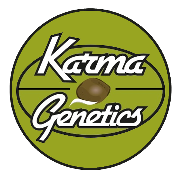 Karma Genetics Wholesale