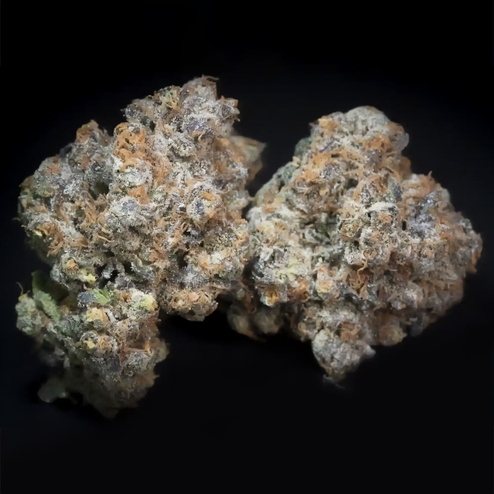 Caramba Female Cannabis Seeds By Paradise Seeds