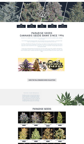 Paradise Seeds Wholesale