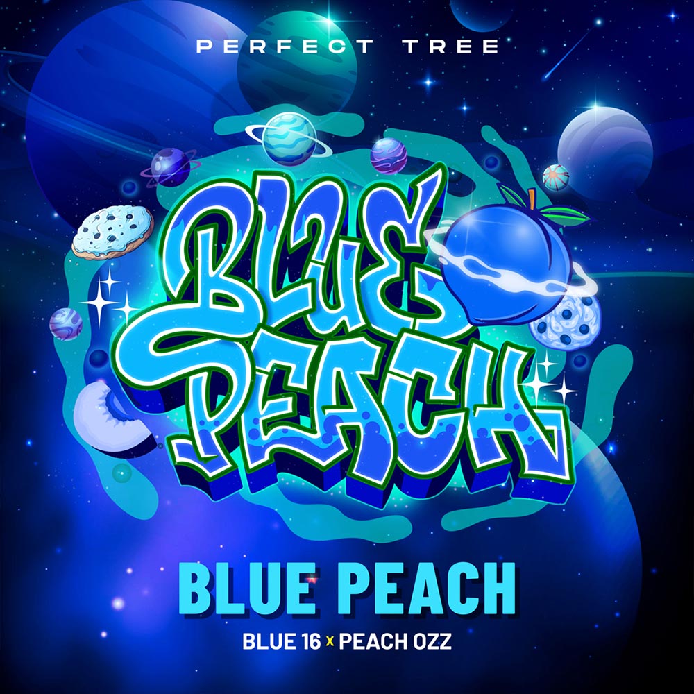 Blue Peach Feminized Cannabis Seeds Wholesale