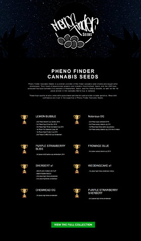 Pheno Finder Cannabis Seeds Wholesale