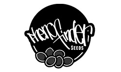 Pheno Finder Cannabis Seeds Wholesale