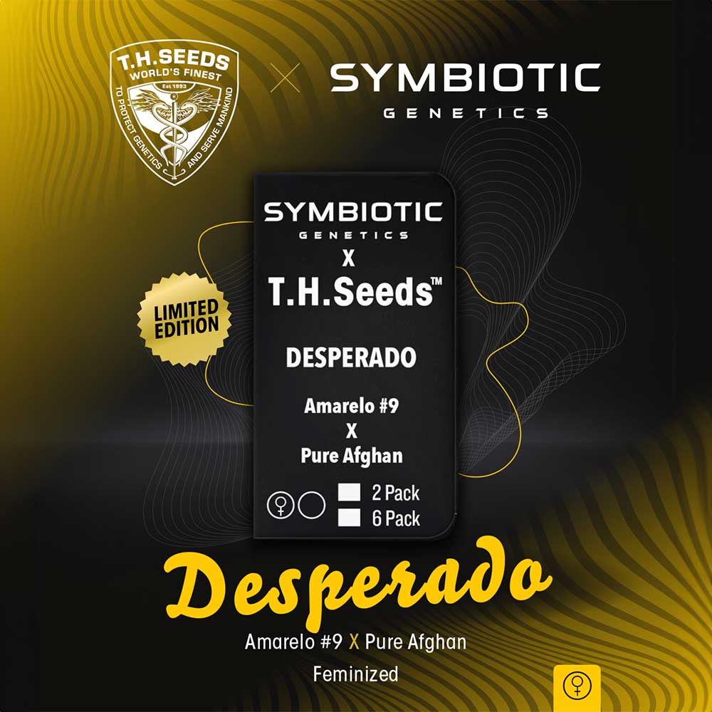 Desperado Feminized Symbiotic Genetics Wholesale