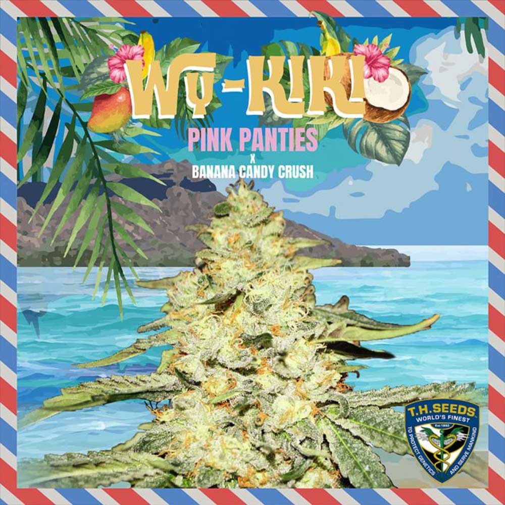 Wy-Kiki Female Cannabis Seeds