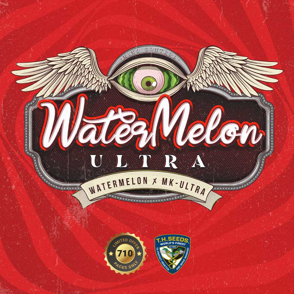WaterMelon Ultra Female Cannabis Seeds