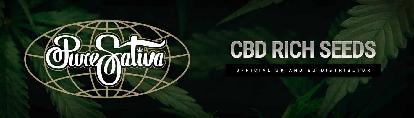 CBD Rich Cannabis Seeds