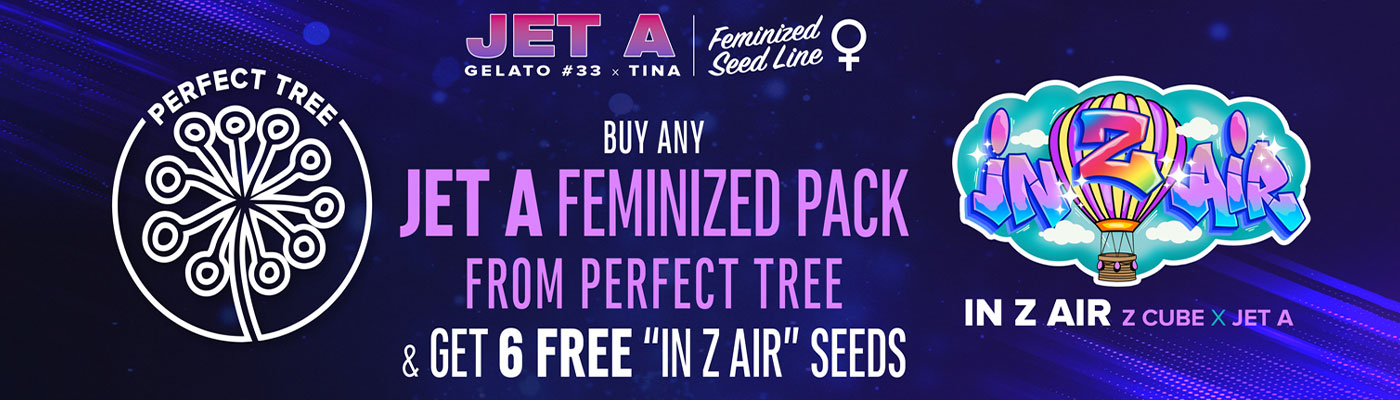 Female Jet A Line Perfect Tree