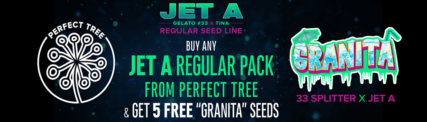 Regular Jet A Line - Perfect Tree 