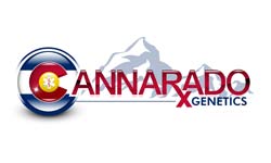 Cannarado Genetics