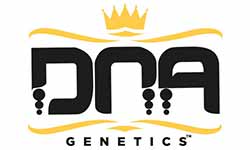 DNA Genetics Wholesale