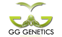 GG Genetics