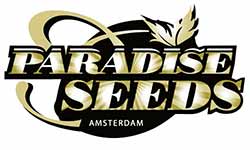 Paradise Seeds