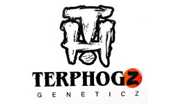 Terphogz Genetics Wholesale