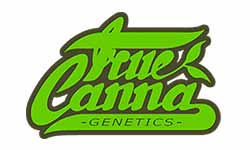 True Canna Genetics