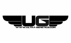 Ultra Genetics Seeds