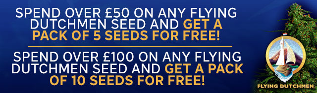 FREE! Pack of Flying Dutchmen seeds when you spend over £50 and £100