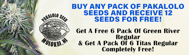 Buy Any Seeds From Pakalolo Seeds & Get 12 Seeds For Free