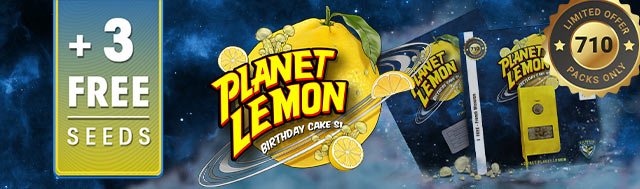 Get 3 Extra Planet Lemon By T.H.Seeds For Free